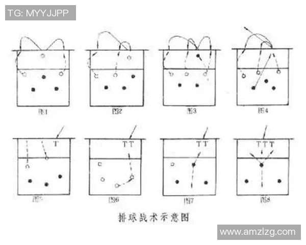 南京排球队战术表现深度解析与数据分析探讨 南京排球队战术表现深度解析与数据分析探讨