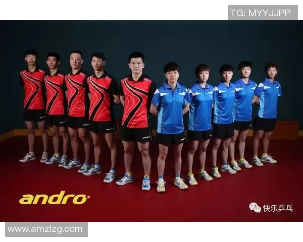南京乒乓球队与北京乒乓球队赛后复盘分析比赛经验与战术策略 南京乒乓球队与北京乒乓球队赛后复盘分析比赛经验与战术策略