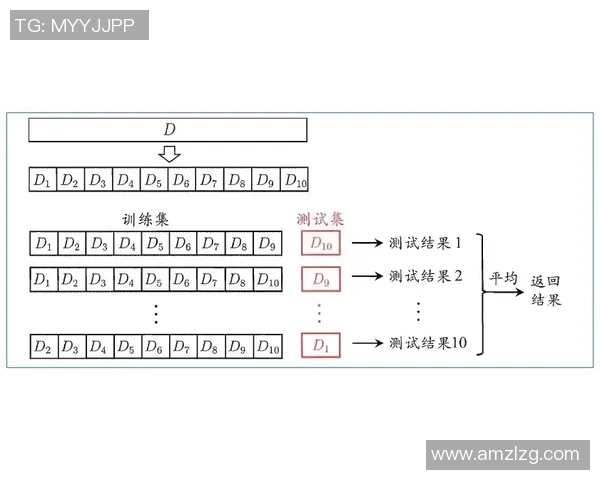 北京羽毛球队包夹战术分析及其成效评估 北京羽毛球队包夹战术分析及其成效评估